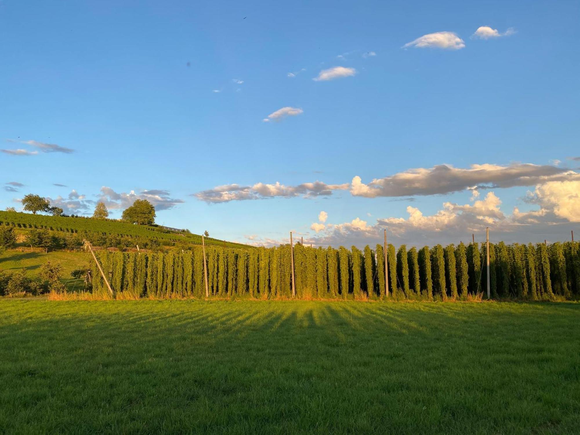 Beim Dorfbach - Die Hofchalets Kressbronn am Bodensee Exterior foto